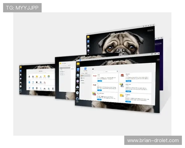 K8手机官方固件升级教程，提升设备性能与系统安全保障