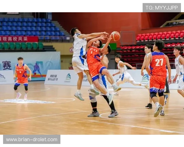 深入解析K8体育大全中的热门体育项目与专业赛事分析指南